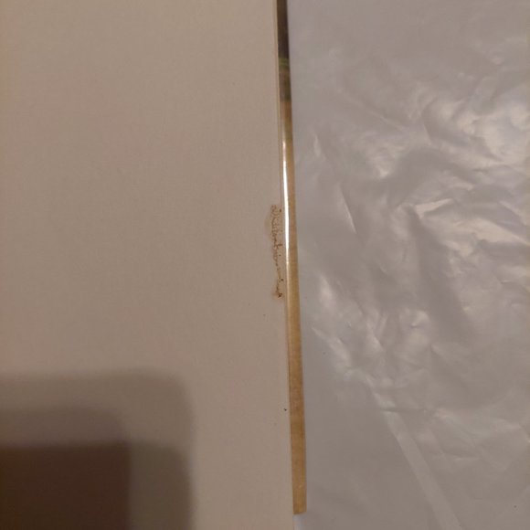 The Wish - Picture 2 of 5